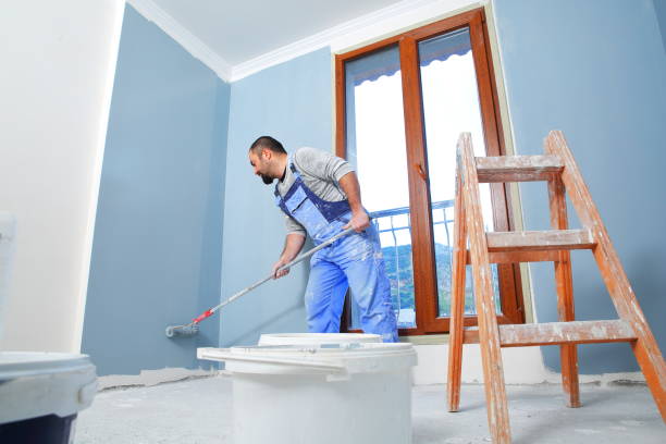 Best Water-Damaged Drywall Repair  in Amelia, OH